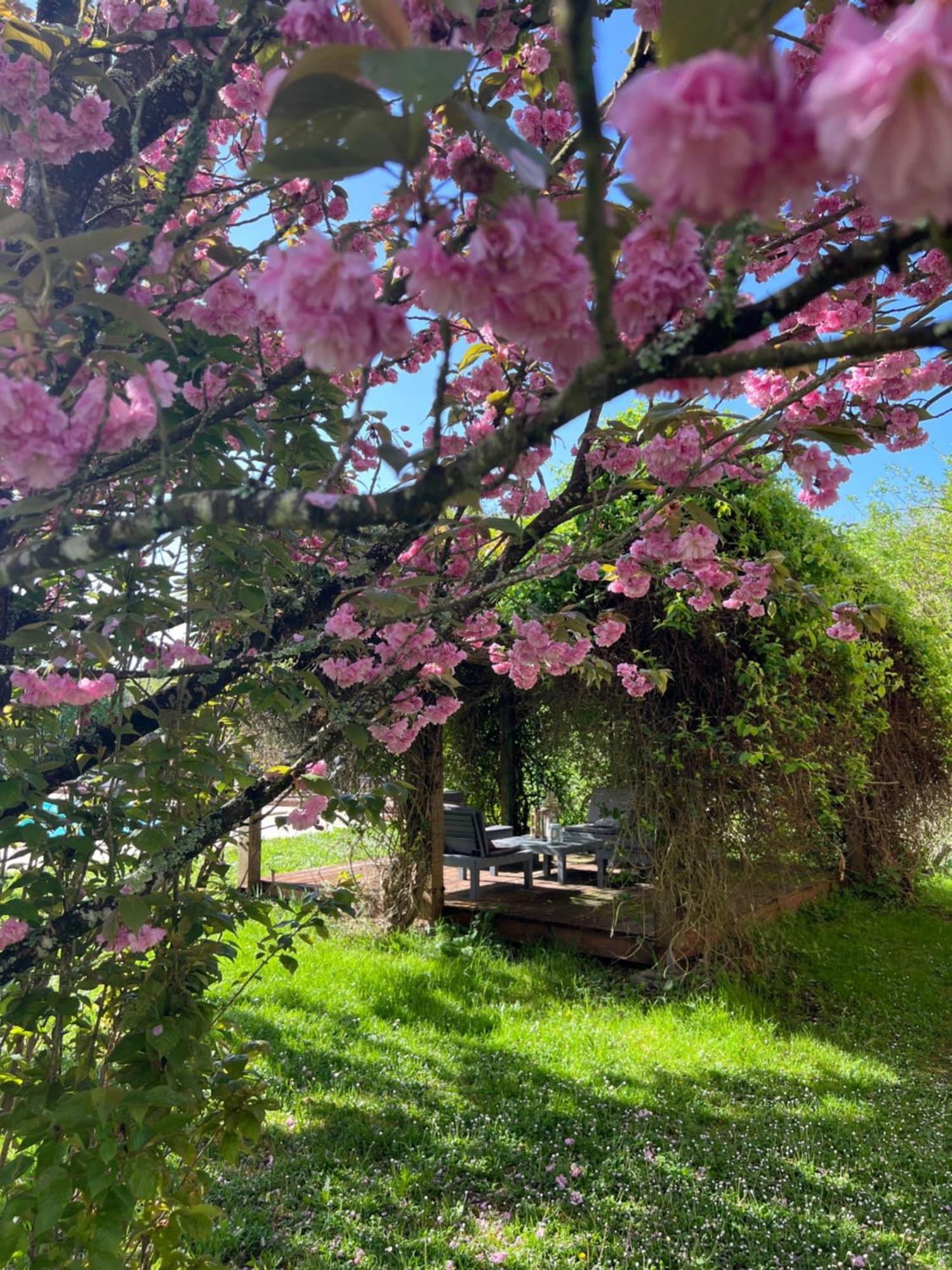 La Colline De Tilleul - Les Deux Puits - Cosy Cottage With Swimming Pool Near Aubeterre Saint-Romain  Exterior foto